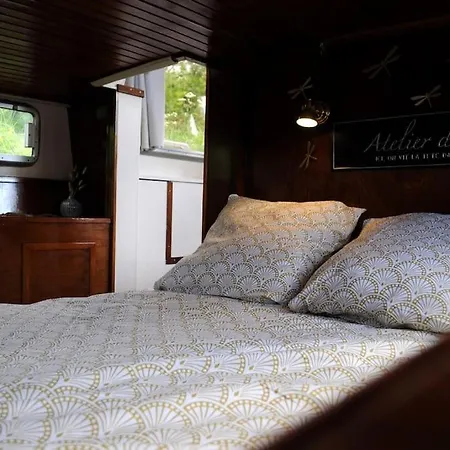 Botel C'la Vie - Proche Fontainebleau - Bateau Nemours